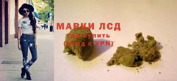 индика Алексин