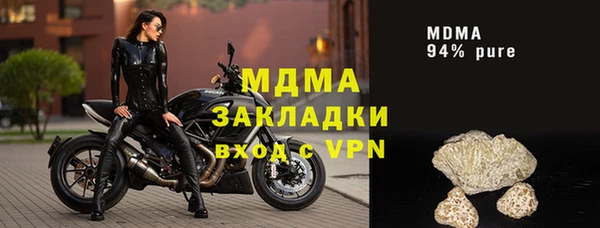 индика Алексин