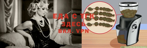 хмурый Абаза