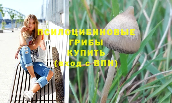 прущие крисы Алзамай