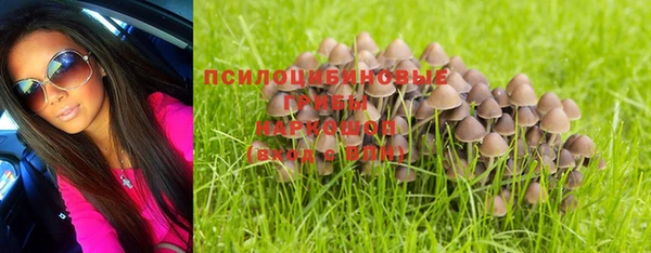 крисы Абинск
