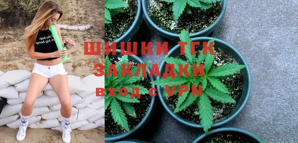 хмурый Абаза