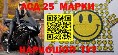 амф Гусев