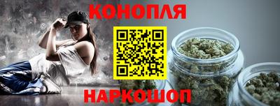 прущие грибы Гусиноозёрск