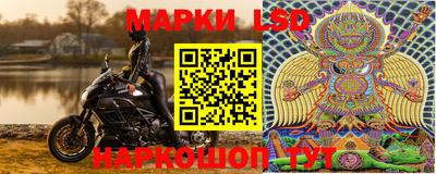 прущие грибы Гусиноозёрск