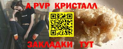 амф Гусев