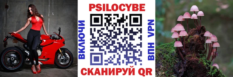 Галлюциногенные грибы MAGIC MUSHROOMS  МЕГА ссылки  Тавда 